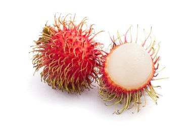 taze rambutan
