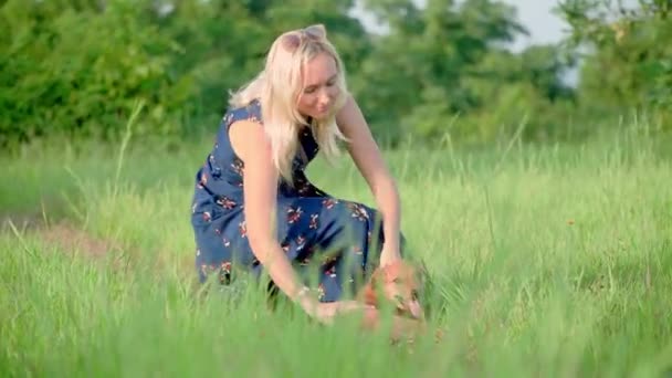 Mujer está jugando con perro — Vídeo de stock