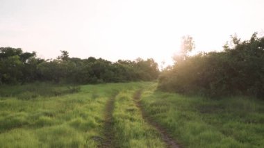 Güzel bir Hint görüşü.