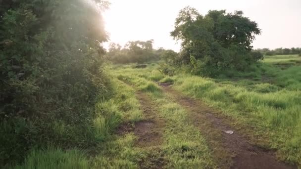 Krásný výhled na indická pole — Stock video
