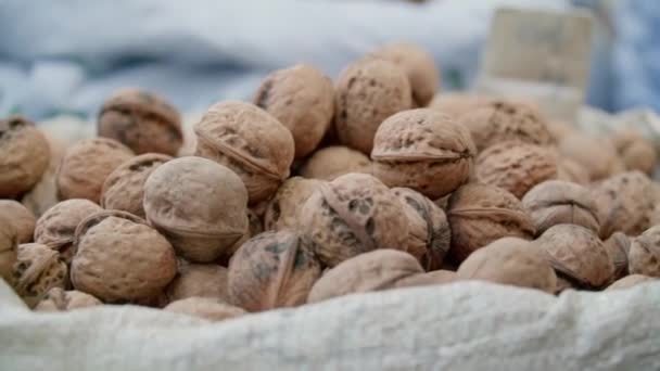 Farmers market. Walnuts in bags — Stock video