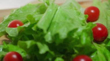 Yakın plan. Kiraz domatesleri. Çiftlik büyümüş. Vejetaryenlik