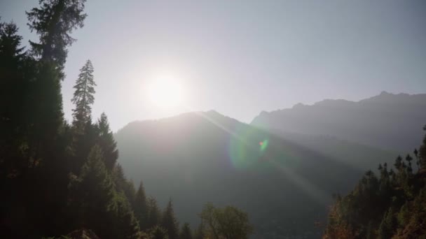 Solen over fjellene. Barskoger. Himalaya, India. – stockvideo