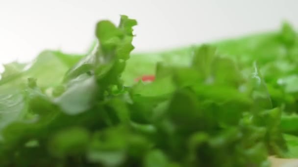 Tomaten, Salat. Gesunde Ernährung. Diätprodukte. Einfache Küche — Stockvideo