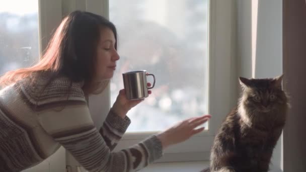 Kadın kediyi kahve içmeye davet etti. Evcil hayvan. Kış akşamları. — Stok video