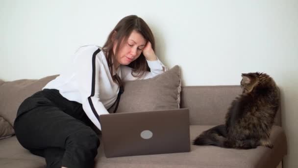 Δούλεψε στο σπίτι με το κατοικίδιο σου. Γυναίκα βλέποντας ταινία με γάτα σπίτι — Αρχείο Βίντεο