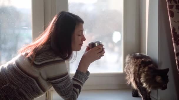 Mascota. Comunicación con un gato. Hermosa chica bebiendo café — Vídeos de Stock