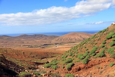 Fuerteventura Canary islands Spain