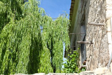 Landscape, Gudar mountains, Teruel, Aragon, Spain