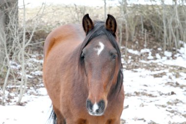 Gudar mountains scenery Teruel Aragon Spain