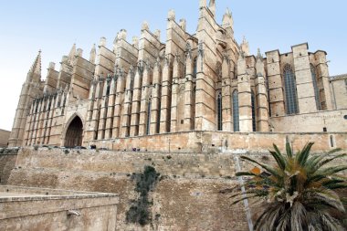 palma de Mallorca Katedrali