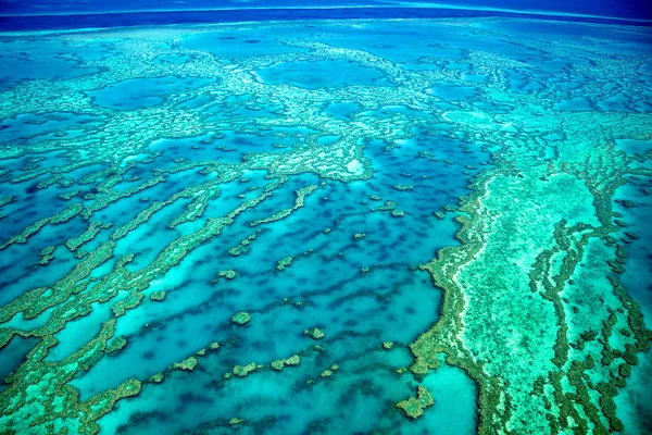 Gran Barrera de Coral —  Fotos de Stock