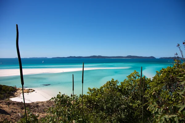 Hill giriş whitsundays — Stok fotoğraf