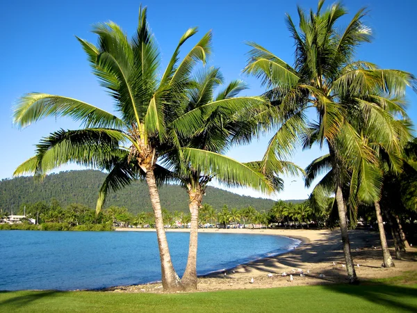 Whitsundays Airlie Beach — Fotografia de Stock