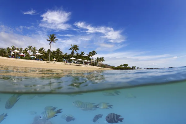 Tropický ostrov beach resort whitsundays — Stock fotografie