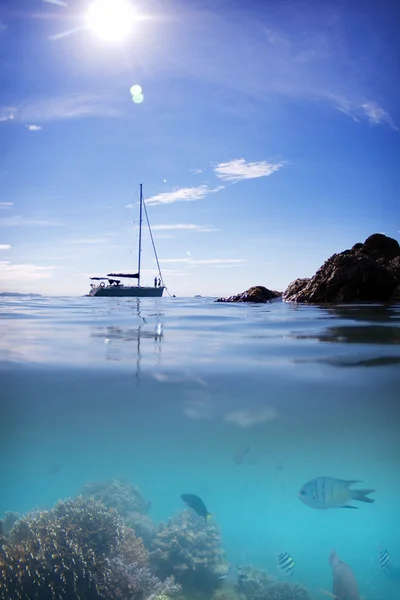 Peixe e barco — Fotografia de Stock