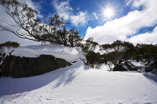 Schöne Winterlandschaft. — Stockfoto