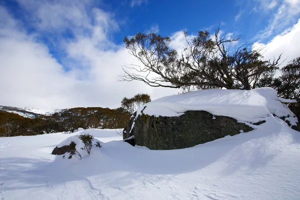 Vinter snö — Stockfoto