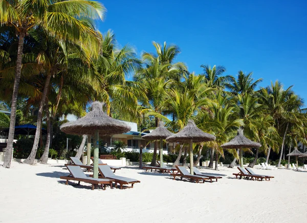 tropikal beach resort büyük Set Resifi