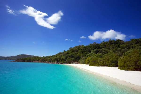 Whitehaven strand whitsundays — Stockfoto