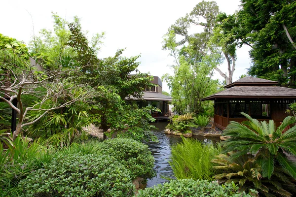 Japanese Garden Hayman Island — Stock Photo, Image