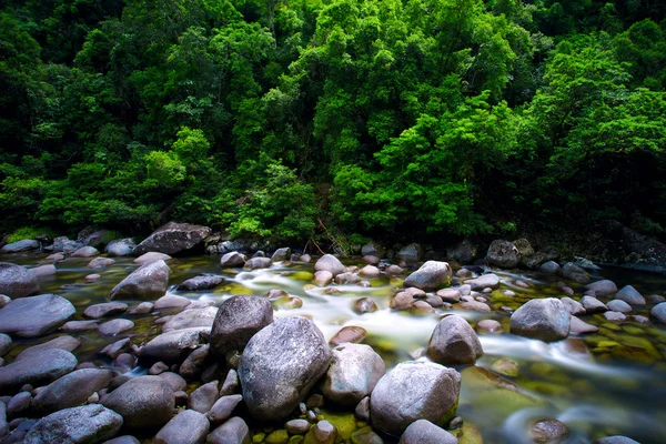 莫斯曼河峡谷 — 图库照片