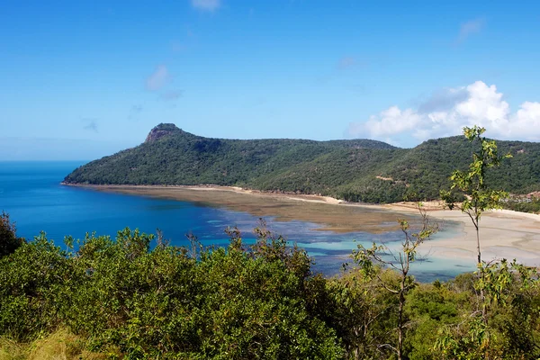 Hamilton island beach Stora barriärrevet — Stockfoto