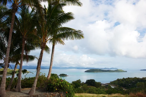 Hamilton island landskap — Stockfoto