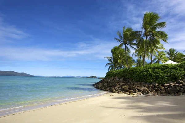 Gran Barrera de Coral de Isla Tropical — Foto de Stock