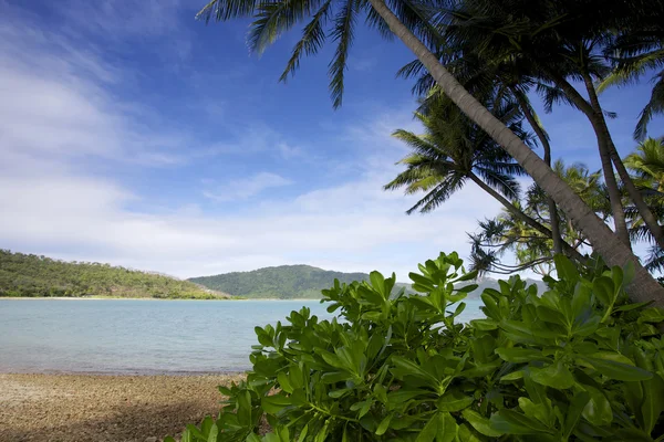 Isla Tropical Paisaje Whitsunday — Foto de Stock