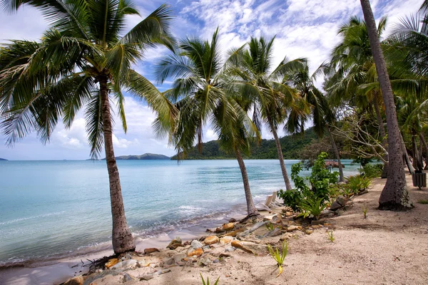 Long Island Great Barrier Reef Stockfoto