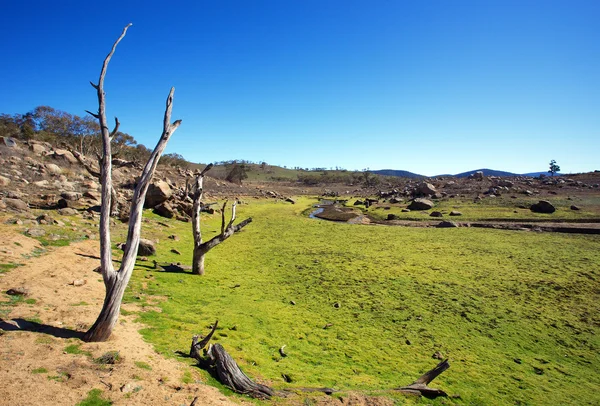 Land landskap Australien — Stockfoto