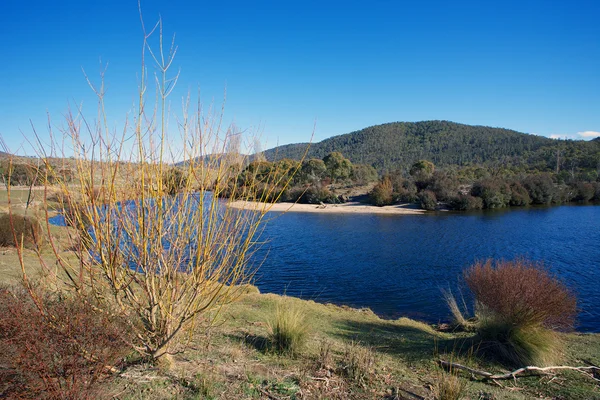 Thredbo flodlandskap — Stockfoto