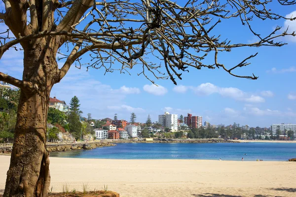 Manly Beach Sydney — Stockfoto