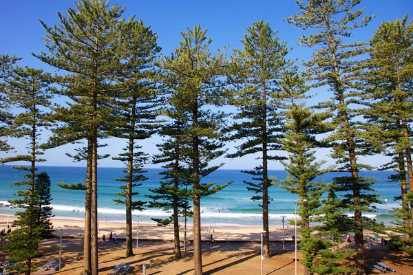 Manly Beach Australia — Foto de Stock