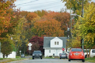 Wilmington, Delaware, ABD - 12 Kasım 2021 Bir yerleşim yerindeki sonbahar yeşilliklerinin manzarası