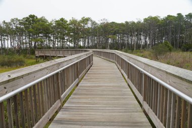 Assateague Adası yakınlarındaki tahta tahta kaldırım, Maryland, ABD