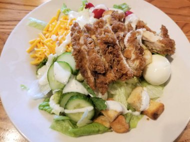 Uğur böceğiyle birlikte Philodendron Verrucosum 'un güzel kırmızı arka yaprakları.