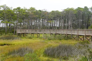 Assateague Adası, Maryland, ABD yakınlarındaki ıslak bölgede tahta kaldırım.