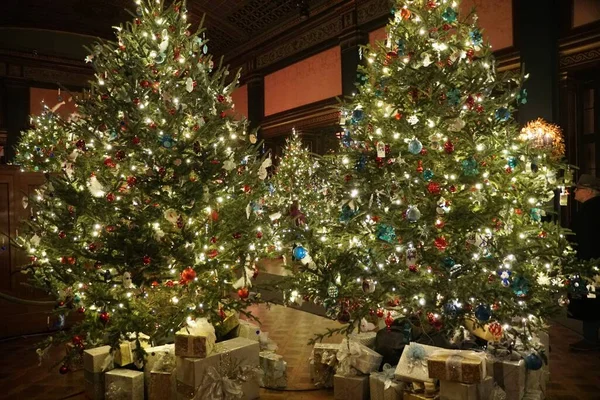 Όμορφο Ψηλό Χριστουγεννιάτικο Δέντρο Διακοσμημένο Κορδέλες Φώτα Και Στολίδια — Φωτογραφία Αρχείου