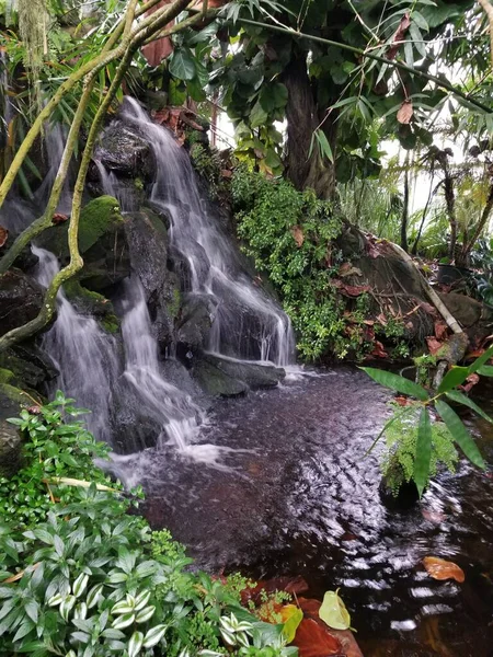 美丽的室内瀑布 四周环绕着绿色热带植物 — 图库照片