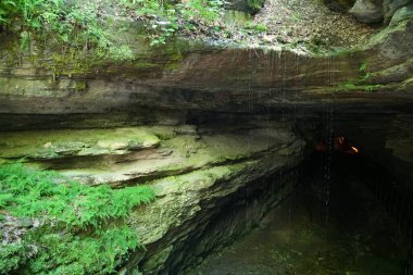 Kentucky, ABD yakınlarındaki Mamut Mağarası girişinde bir damla su.
