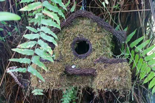 Uma Pequena Casa Pássaros Feita Com Madeiras Musgo Seco — Fotografia de Stock
