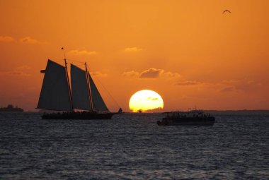 Yat manzaralı güzel gün batımı ve Key West, Florida, ABD yakınlarındaki körfezde tekneler.