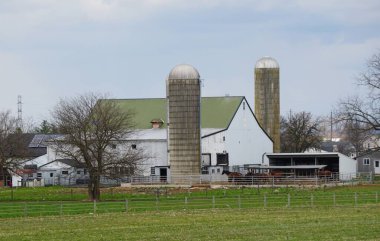 Strasburg, Pennsylvania, ABD yakınlarındaki bir Amish çiftliği.