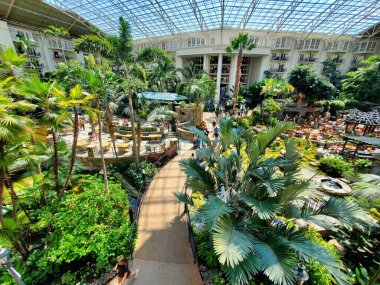 Nashville, Tennessee, U.S.A - June 26, 2022 - The walking path by tropical plants inside of Gaylord Opryland Resort and Convention Center
