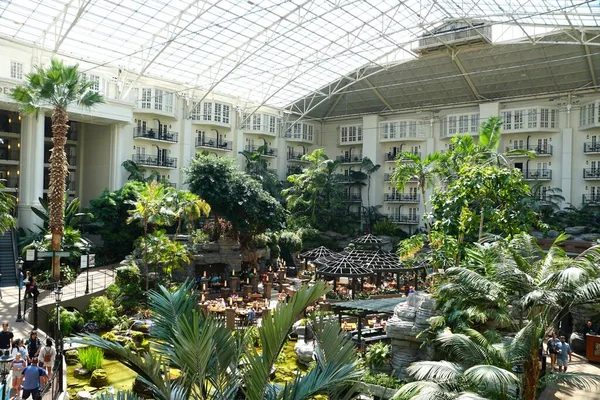 Nashville Tennessee June 2022 Restaurant Beautiful Landscape Gaylord Opryland Resort —  Fotos de Stock