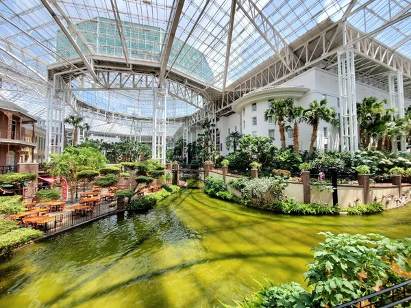 Nashville Tennessee June 2022 Beautiful River Tropical Plants Gaylord Opryland — Stockfoto