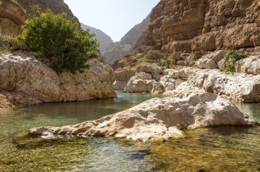 Wadi çalışan Nehri