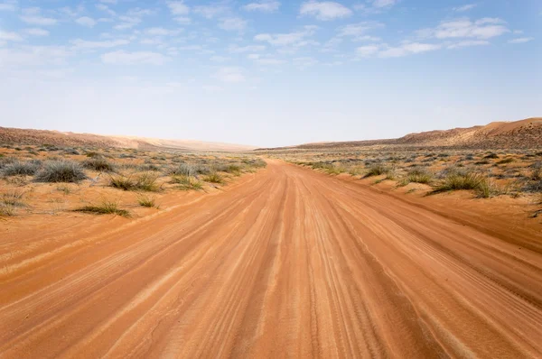 Camino del Desierto — Foto de Stock